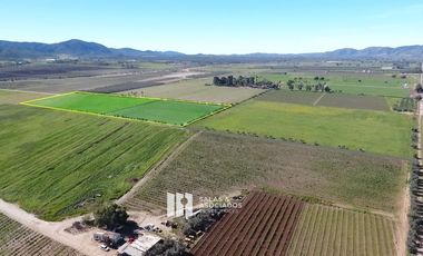 3.37 HA.  FRENTE A MONTE XANIC