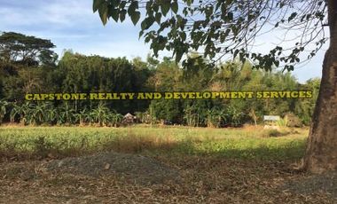 Titled Agricultural Lot in Ilocos Norte