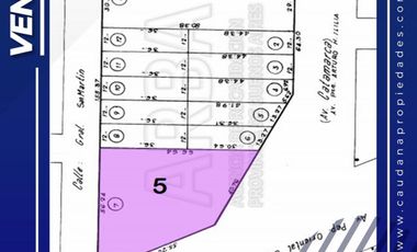 Fraccion completa o separada por lotes - Av. Arturo Ilia 2900 San Justo