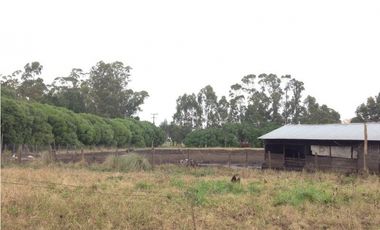 CAMPO DE 1,7 HECTAREAS PARA EMPRENDIMIENTO O EXPLOTACION