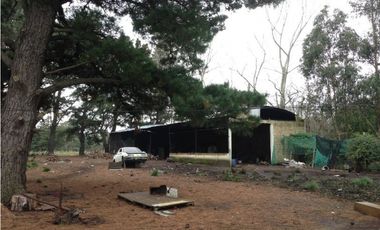 CAMPO DE 1,7 HECTAREAS PARA EMPRENDIMIENTO O EXPLOTACION