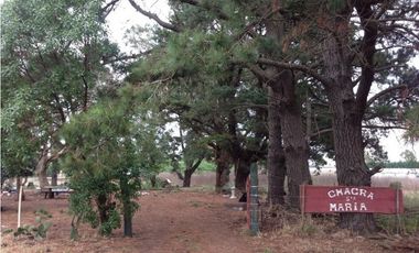 CAMPO DE 1,7 HECTAREAS PARA EMPRENDIMIENTO O EXPLOTACION