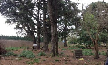 CAMPO DE 1,7 HECTAREAS PARA EMPRENDIMIENTO O EXPLOTACION