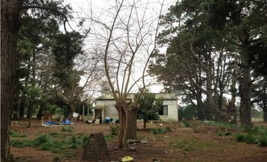 CAMPO DE 1,7 HECTAREAS PARA EMPRENDIMIENTO O EXPLOTACION