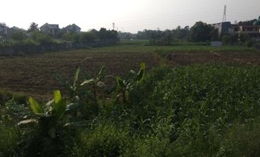 Jual Cepat Tanah Murah 1 Ha Di Sindang Barang Kota Bogor