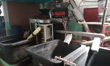 finca en venta en bochalema - durania. Cod V8169
