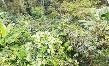 finca en venta en bochalema - durania. Cod V8169