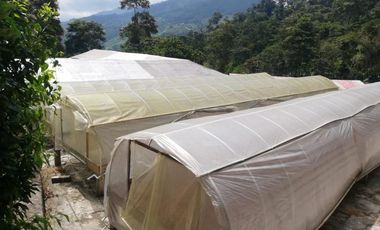 finca en venta en bochalema - durania. Cod V8169