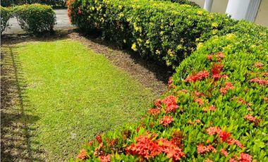 VENDO CASA DE SEGUNDA BIEN UBICADA EN DAVID