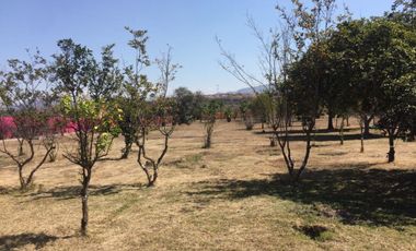 RANCHO EN VENTA EN IXTLAHUACAN DE LOS MEMBRILLOS