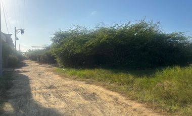 lote en venta en juan de acosta. Cod V107277