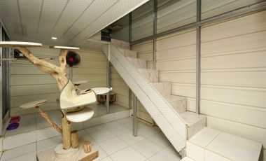 Rumah SHM Hadap Timur 6 Mnt ke Grand Galaxy Park Bebas Banjir J-41522