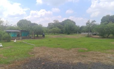 Venta de finca en Andalucia Valle Zabaletas AREA 8.579 Mt²