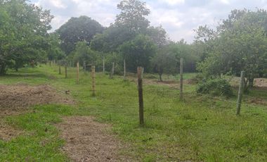 Venta de finca en Andalucia Valle Zabaletas AREA 8.579 Mt²