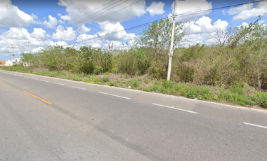 Terreno sobre Carretera en Renta en San Diego Cutz sobre Carretera