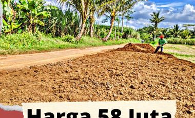 Tanah dijual di Jawa Timur, Jombang
