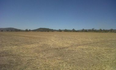 Venta Terreno En Hidalgo