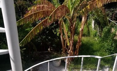 RENTA HABITACIÓN  ZONA UDLAP