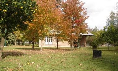 Campo en venta en 20 de Junio