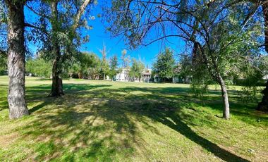 NORTE EN PULGAS PANDAS SUR MODERNA Y CON EXCELENTE VISTA A GREEN