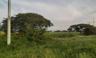 lote en venta en palmaseca-zona franca. Cod V8985