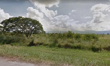 lote en venta en palmaseca-zona franca. Cod V8985