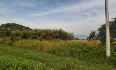 lote en venta en palmaseca-zona franca. Cod V8985