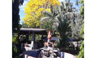 VENDO CASA CON PISCINA Y 9750M2 CON ARBOLES