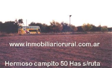 Campo en Venta en Taboada, sobre Ruta 89 y casi Ruta 34, zona de riego - Stgo del Estero