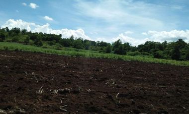 14.7 hectares Farm Lot for Sale in Valencia City, Bukidnon