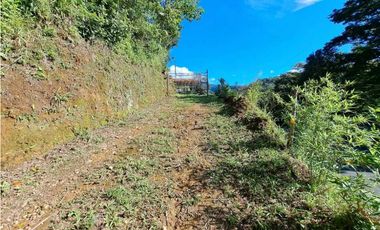 VENDO TERRENO DE 7000M2 EN PALMIRA ABAJO