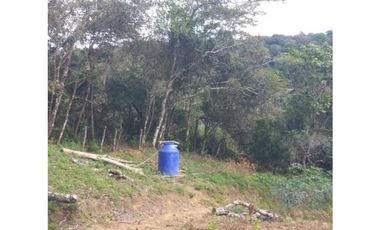 VENDO TERRENO DE 7000M2 EN PALMIRA ABAJO