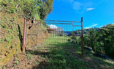 VENDO TERRENO DE 7000M2 EN PALMIRA ABAJO