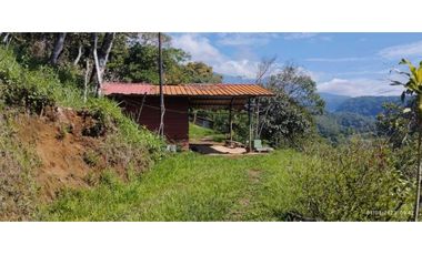VENDO TERRENO DE 7000M2 EN PALMIRA ABAJO