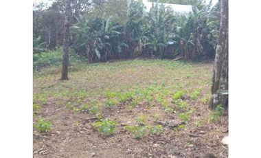 VENDO TERRENO DE 7000M2 EN PALMIRA ABAJO