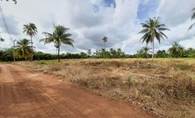 Land for sale near the sea of ​​Rayong Klaeng , Rayong