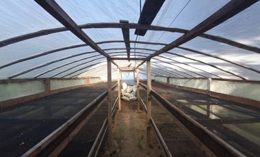 finca en venta en tolima. Cod V7078057