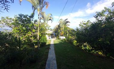 finca en venta en tolima. Cod V7078057