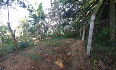 finca en venta en tolima. Cod V7078057