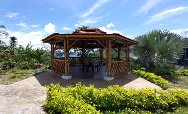 finca en venta en tolima. Cod V7078057