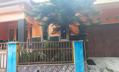 Rumah Dikontrakan Dekat Pemda Sleman Dan Mall, Sleman Yogja