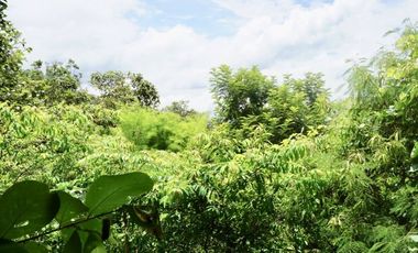 Unique house 3 bed for sale in Doi Saket, Chiang Mai