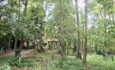 Unique house 3 bed for sale in Doi Saket, Chiang Mai