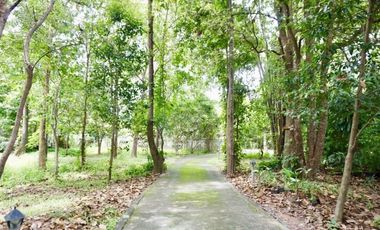 Unique house 3 bed for sale in Doi Saket, Chiang Mai