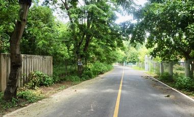 Unique house 3 bed for sale in Doi Saket, Chiang Mai