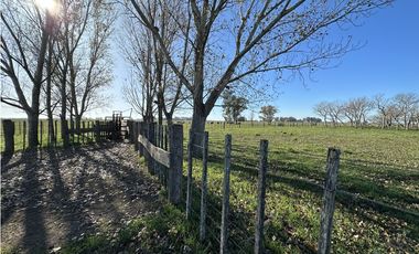 Campo en venta en Ranchos. 449 Has ganadero