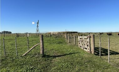 Campo en venta en Ranchos. 449 Has ganadero