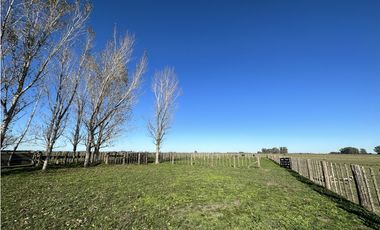 Campo en venta en Ranchos. 449 Has ganadero