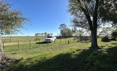 Campo en venta en Ranchos. 449 Has ganadero