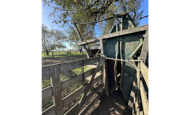 Campo en venta en Ranchos. 449 Has ganadero